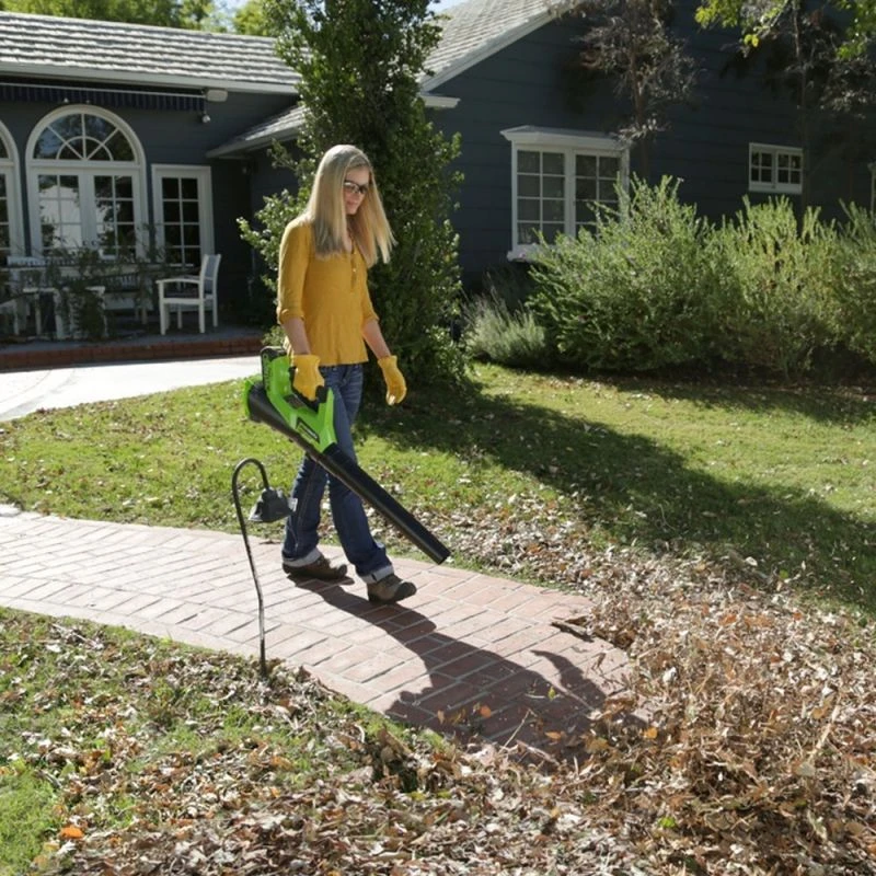 Greenworks G40AB 40V Li-Ion Accu Bladblazer Body - 177km/h 4 Greenworks G40AB 40V Li-Ion Accu Bladblazer Body - 177km/h - Afbeelding 2