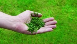 Einhell GC-PM 52/2 S HW Benzine Grasmaaier - 80L - 52cm - 3404850 29 Einhell GC-PM 52/2 S HW Benzine Grasmaaier - 80L - 52cm - 3404850 -Winkel Voor Huishoudelijk Gereedschap 8813e7ff1c644f4bd554b7401bfce919