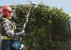 Makita EN4951SH 4-takt Benzine Stokheggenschaar - 2,05m -Winkel Voor Huishoudelijk Gereedschap b6e3acf5cccc53c3287746ac40ee8b08