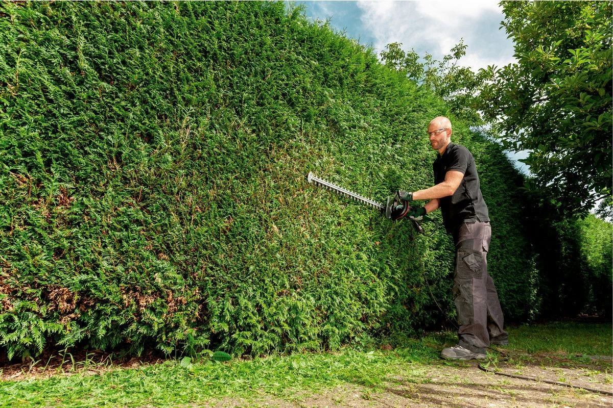 Metabo HS8745 Heggenschaar - 560 Watt - 450mm - 608745000 4 Metabo HS8745 Heggenschaar - 560 Watt - 450mm - 608745000 - Afbeelding 2