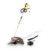 Powerplus POWXG30405 Bosmaaier / Grastrimmer - 1000W - 2 Acc. -Winkel Voor Huishoudelijk Gereedschap f8ce998bc528acf5ecfbbf5b417c98ed