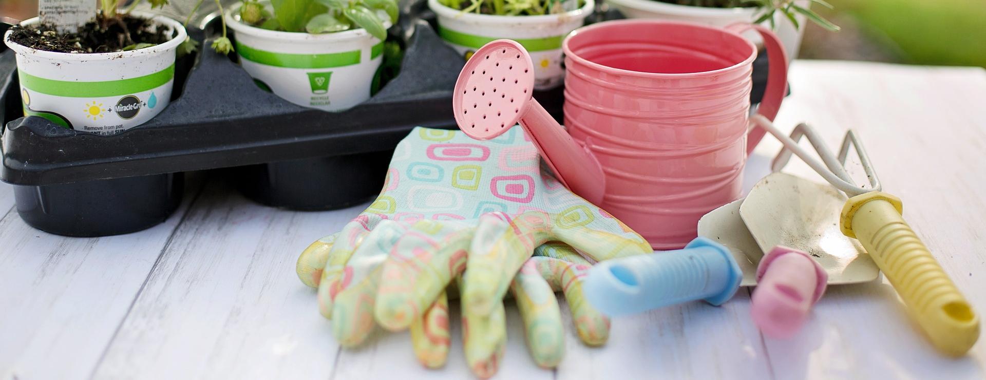 Winkel Voor Huishoudelijk Gereedschap -Winkel Voor Huishoudelijk Gereedschap planting 4226838 1920